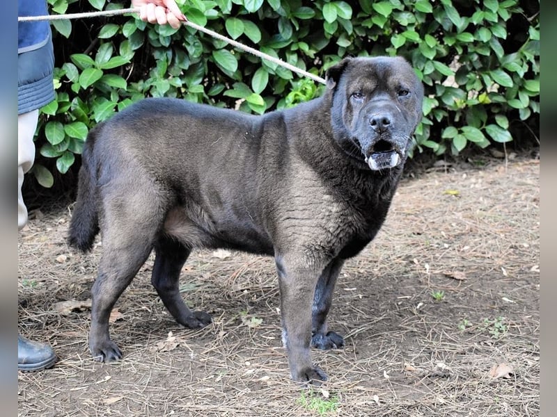 Morgan - wird hoffentlich alles besser