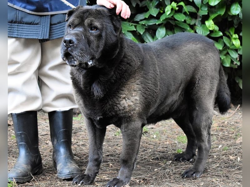 Morgan - wird hoffentlich alles besser