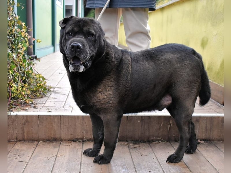 Morgan - wird hoffentlich alles besser