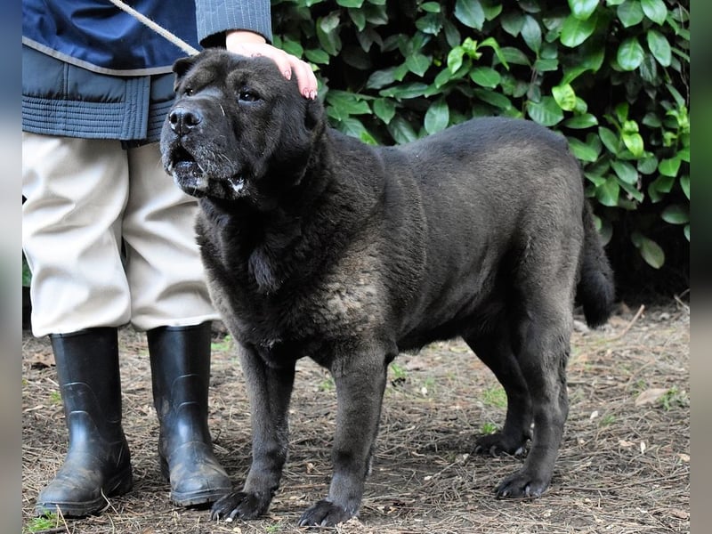 Morgan - wird hoffentlich alles besser