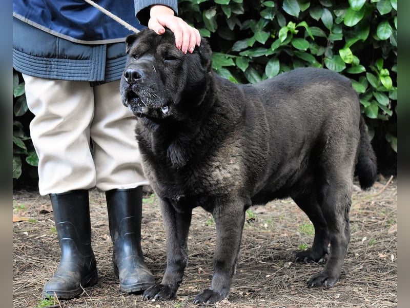 Morgan - wird hoffentlich alles besser