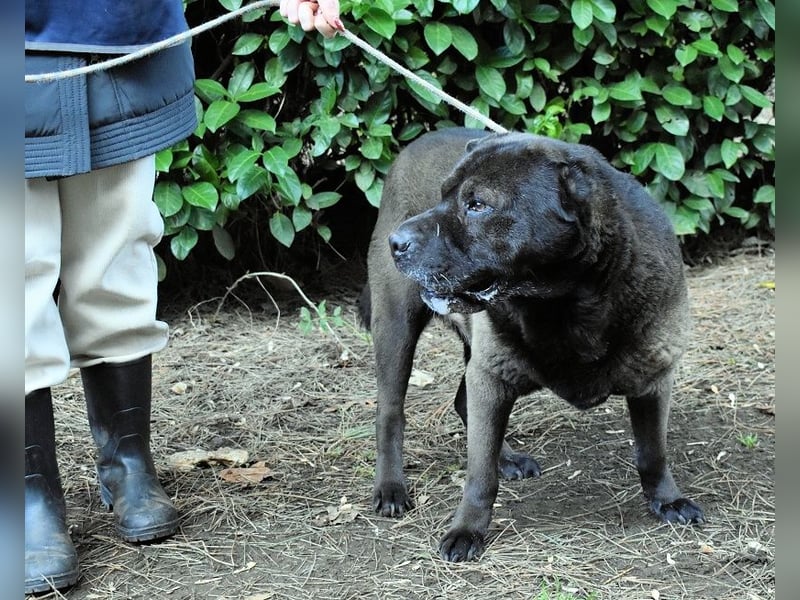 Morgan - wird hoffentlich alles besser