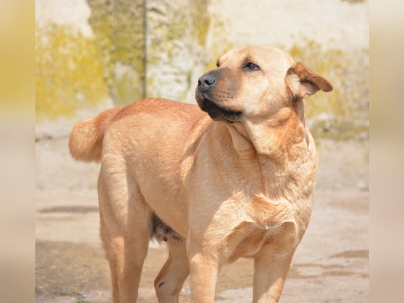 Molly, ca. 2024 geboren, selbstbewusst und aktiv