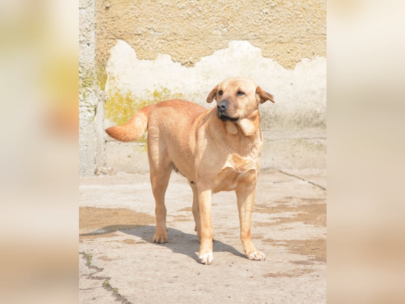 Molly, ca. 2024 geboren, selbstbewusst und aktiv