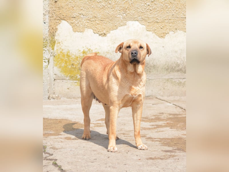 Molly, ca. 2024 geboren, selbstbewusst und aktiv