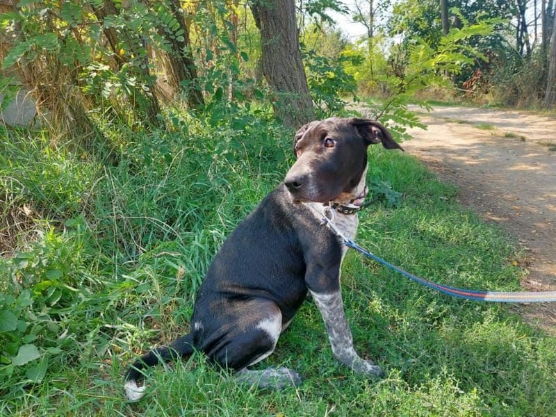 Akril-VA – Jung, sanft und bereit für ihr eigenes Glück