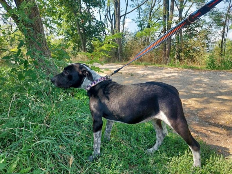 Akril-VA – Jung, sanft und bereit für ihr eigenes Glück