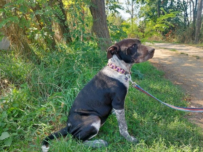 Akril-VA – Jung, sanft und bereit für ihr eigenes Glück