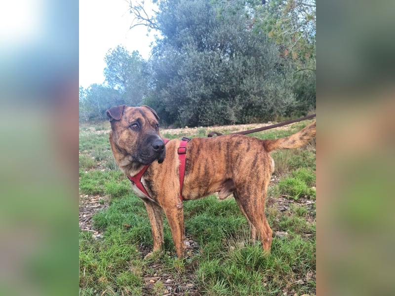 ORIK sucht entspannte Menschen