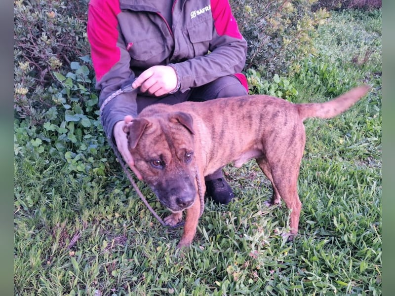 ORIK sucht entspannte Menschen