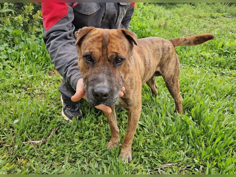 ORIK sucht entspannte Menschen