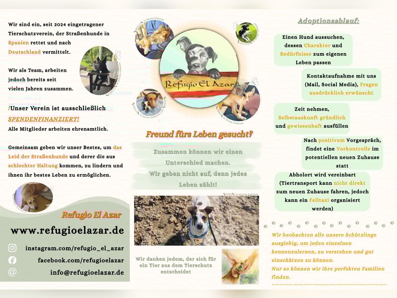 ORIK sucht entspannte Menschen