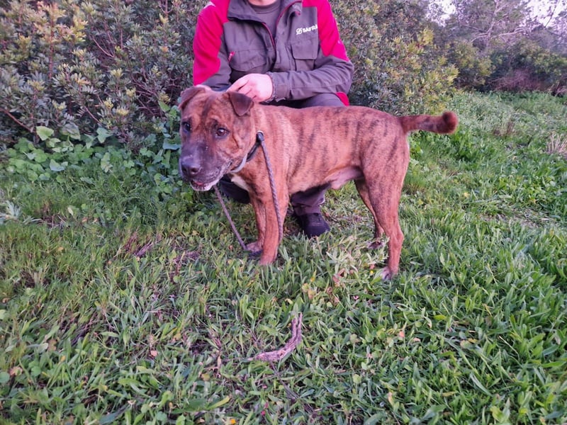 ORIK sucht entspannte Menschen