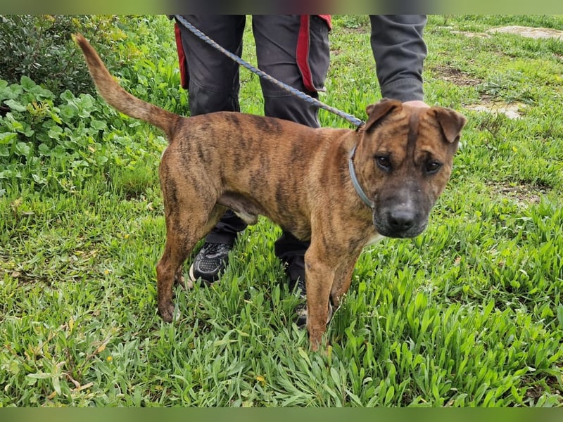 ORIK sucht entspannte Menschen