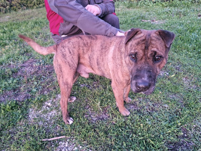 ORIK sucht entspannte Menschen