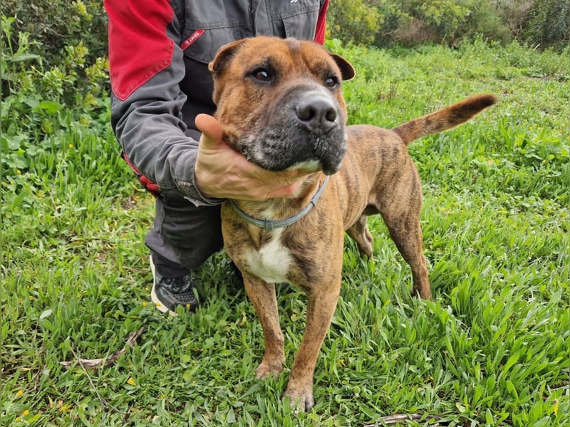 ORIK sucht entspannte Menschen