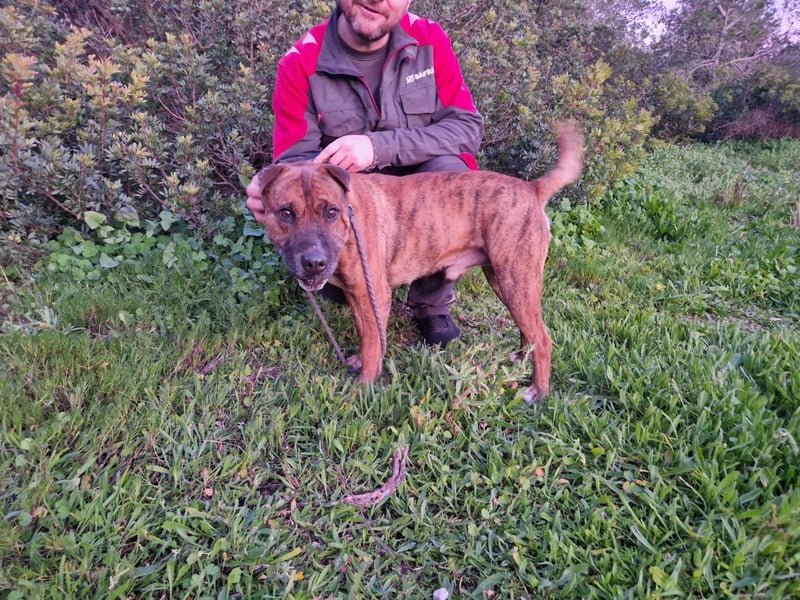 ORIK sucht entspannte Menschen