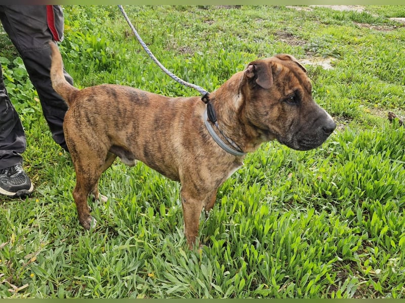 ORIK sucht entspannte Menschen