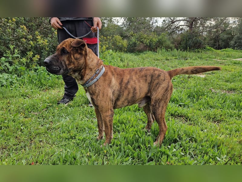 ORIK sucht entspannte Menschen