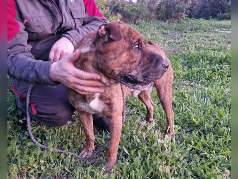 ORIK sucht entspannte Menschen