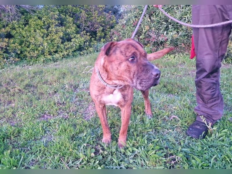 ORIK sucht entspannte Menschen