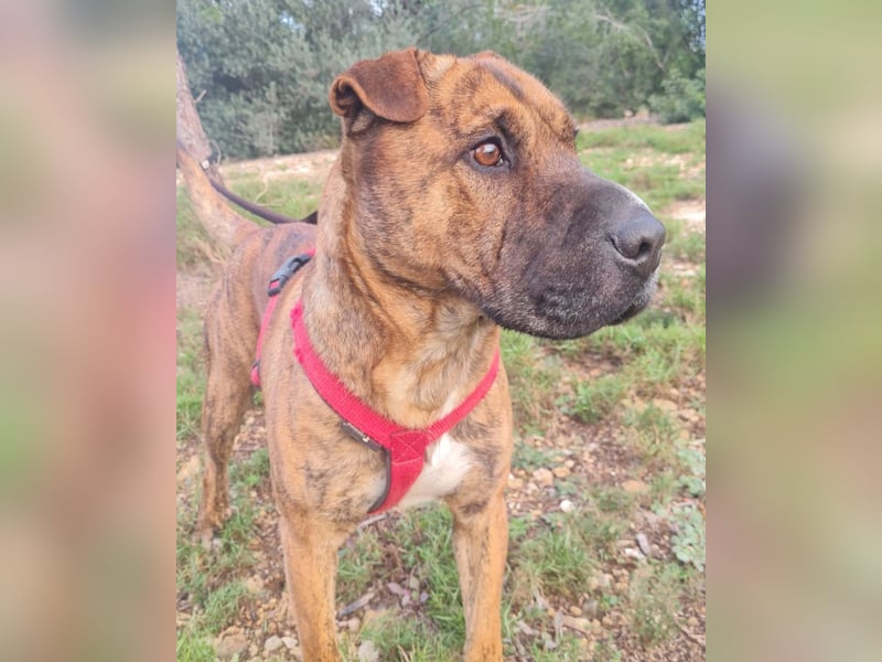 ORIK sucht entspannte Menschen