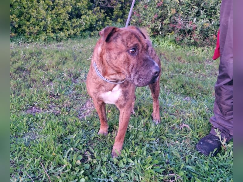 ORIK sucht entspannte Menschen