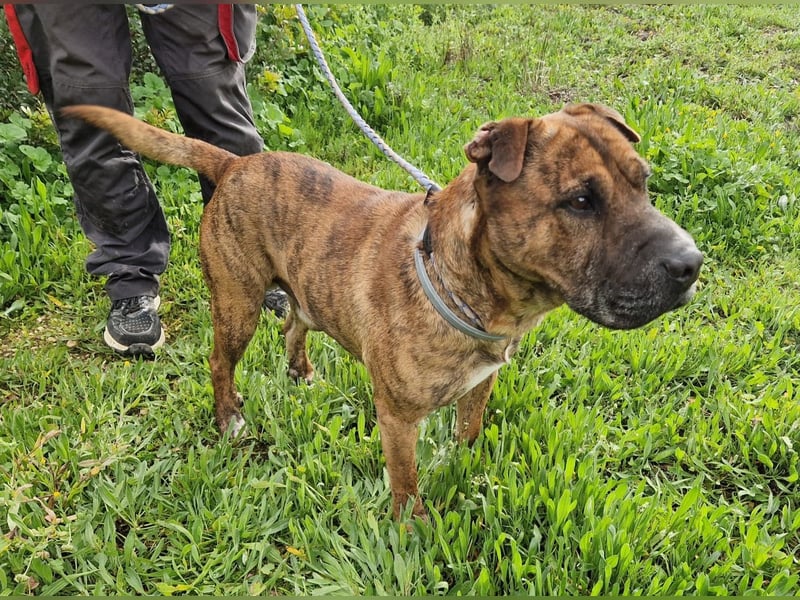 ORIK sucht entspannte Menschen