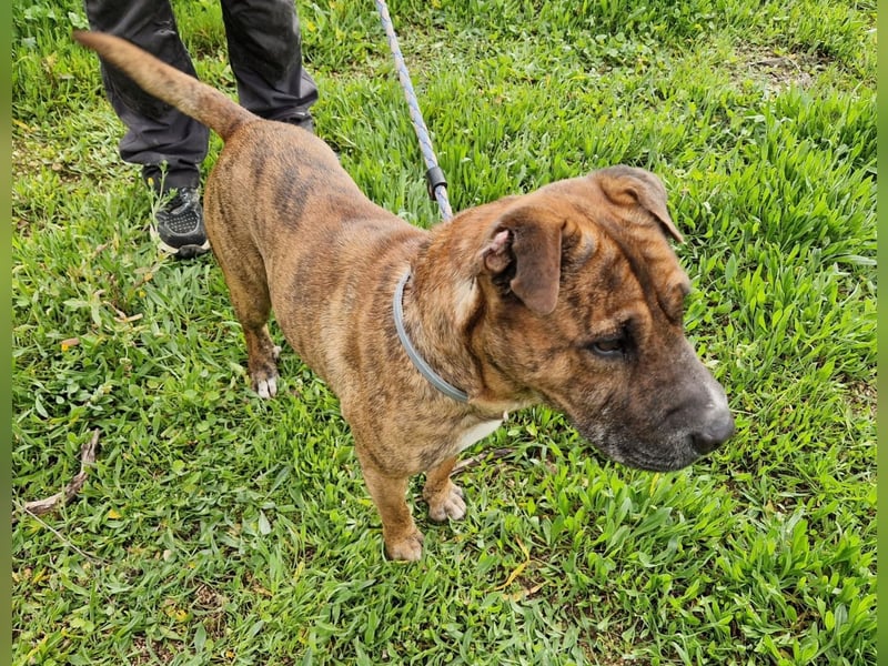 ORIK sucht entspannte Menschen