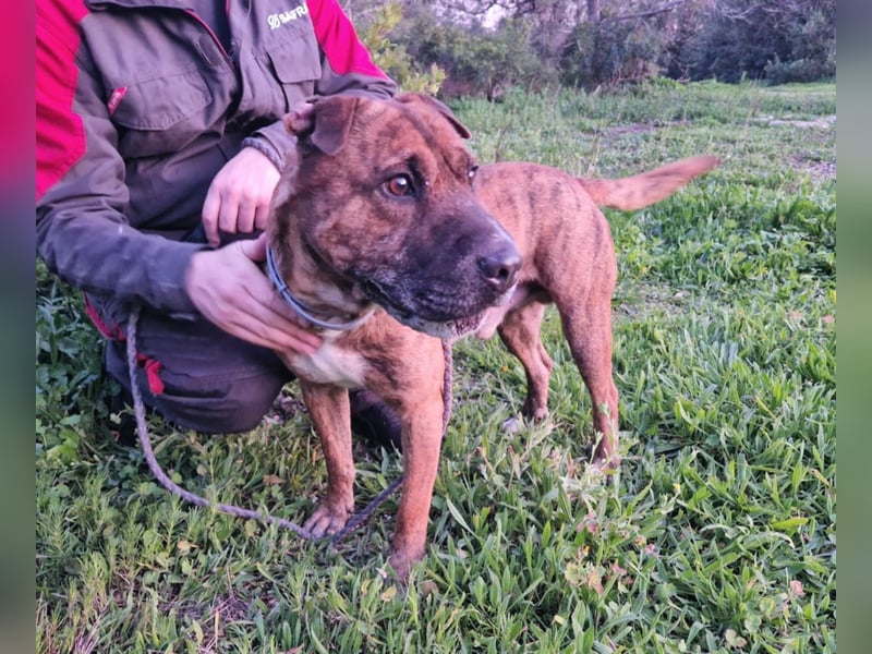 ORIK sucht entspannte Menschen