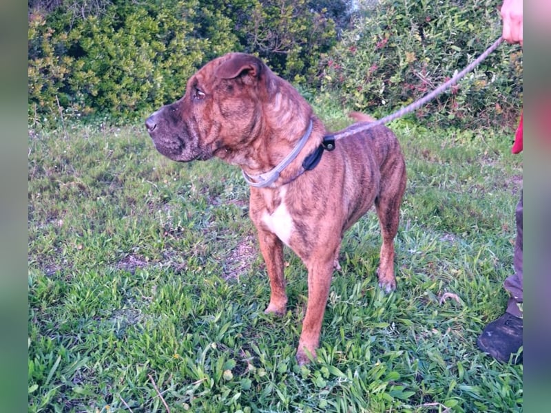 ORIK sucht entspannte Menschen