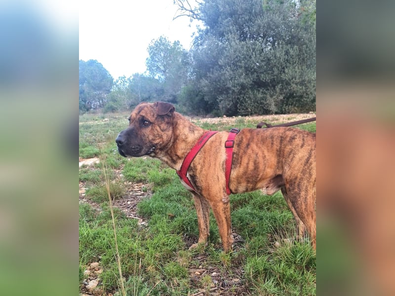 ORIK sucht entspannte Menschen