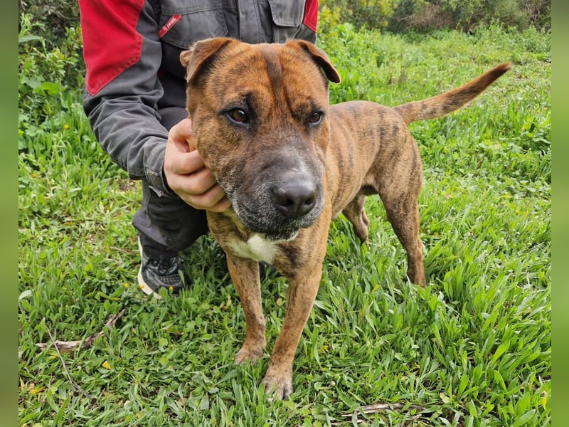 ORIK sucht entspannte Menschen