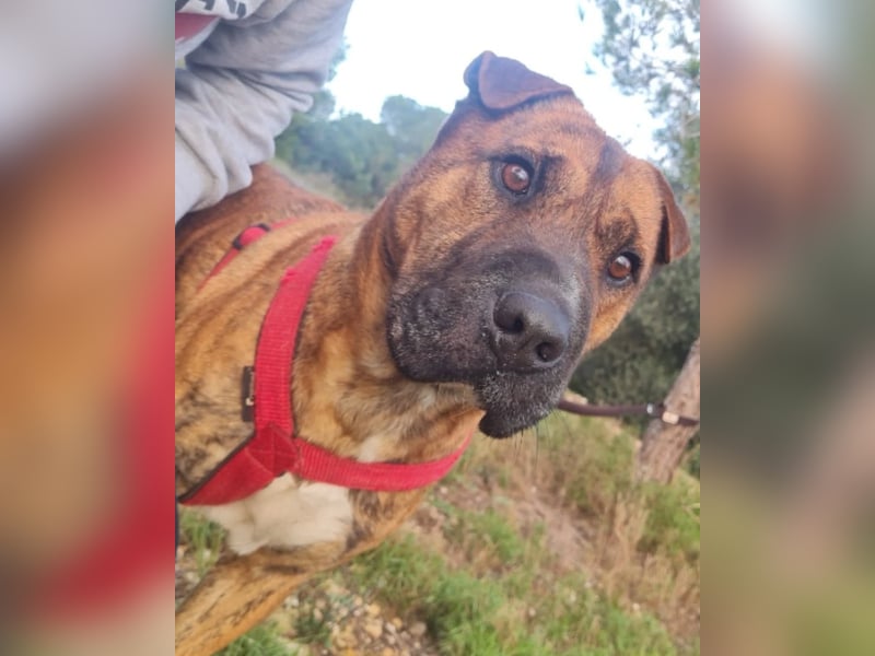 ORIK sucht entspannte Menschen