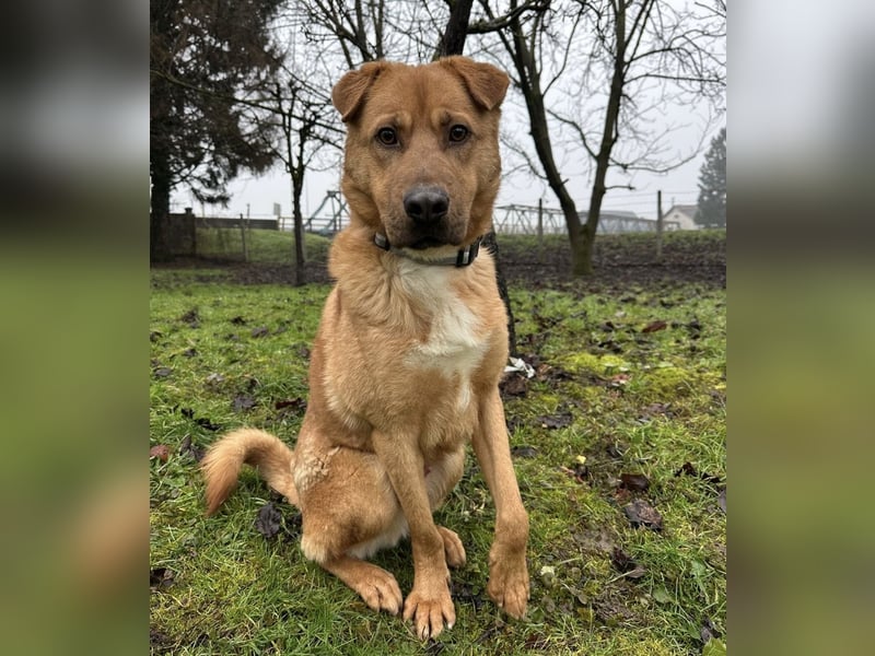 Béju ein sehr freundliches Wesen