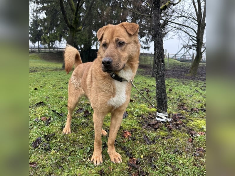 Béju ein sehr freundliches Wesen