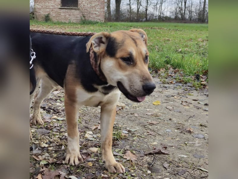 Aslan ein toller Bub