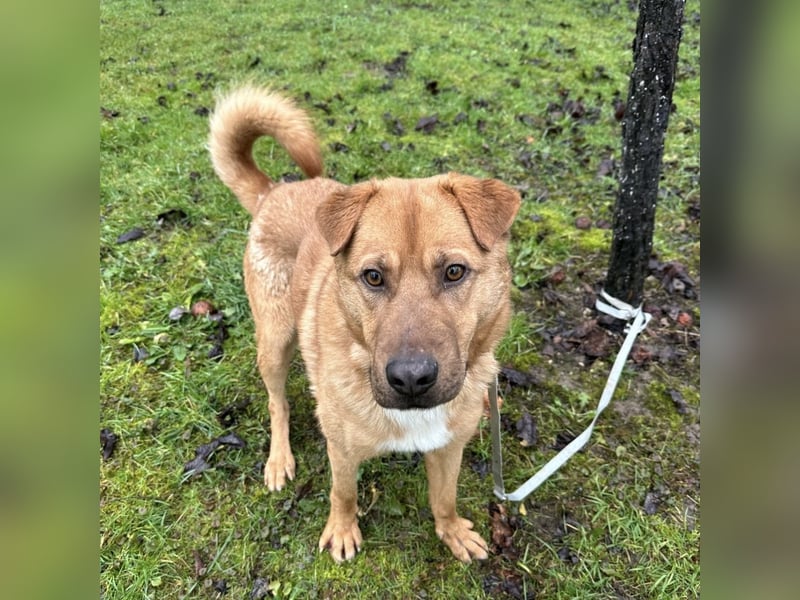 Béju ein sehr freundliches Wesen