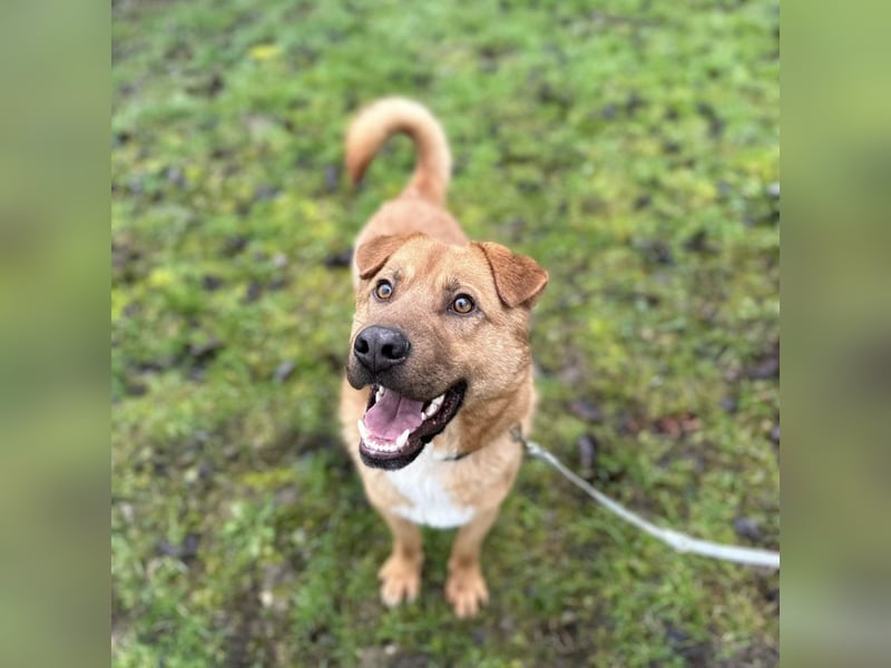 Béju ein sehr freundliches Wesen