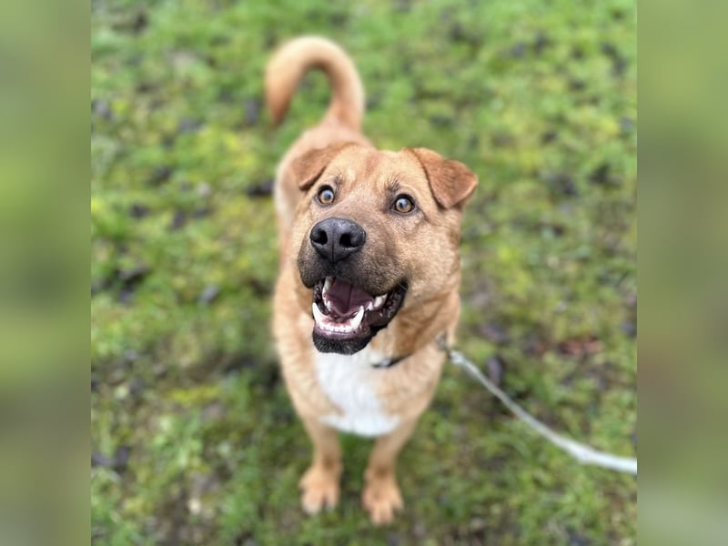 Béju ein sehr freundliches Wesen