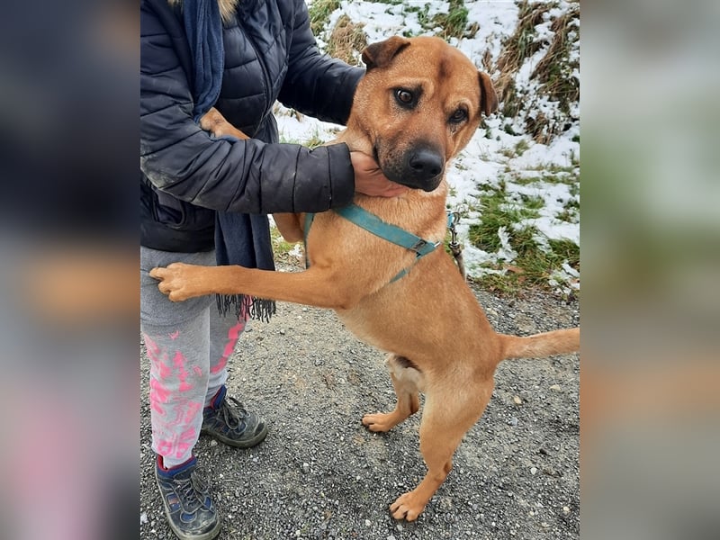 Mackó sucht ein Zuhause