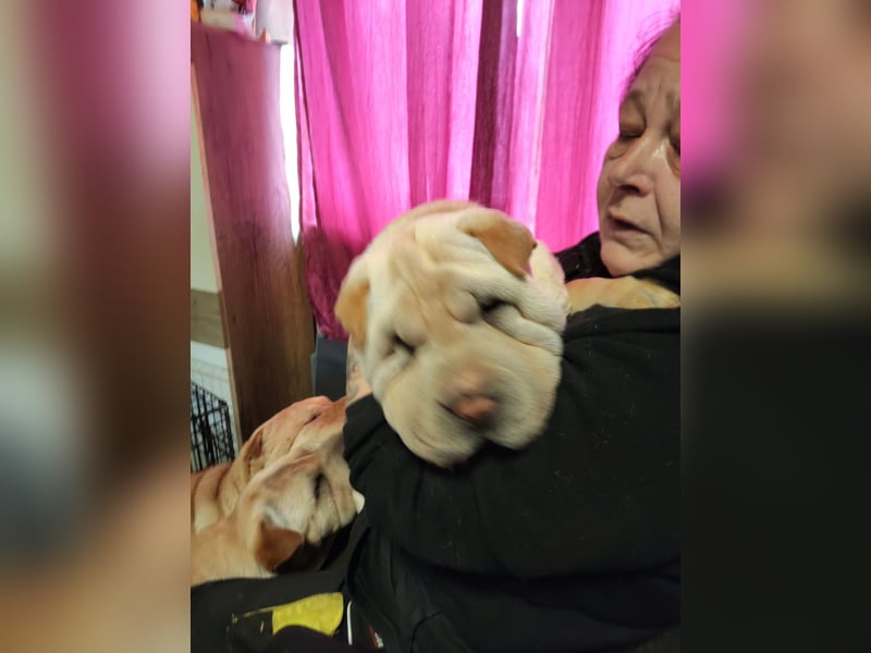 Der kleine baddy sucht ein Zuhause!