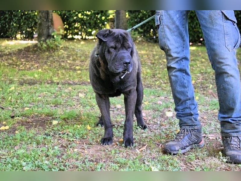 Morgan - wird hoffentlich alles besser