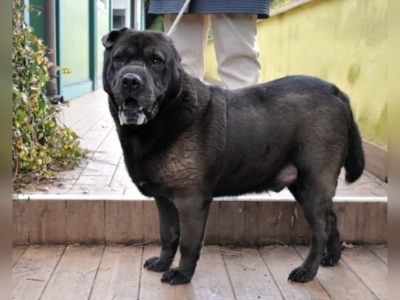 Morgan - wird hoffentlich alles besser