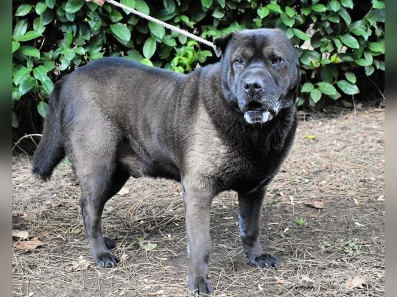 Morgan - wird hoffentlich alles besser
