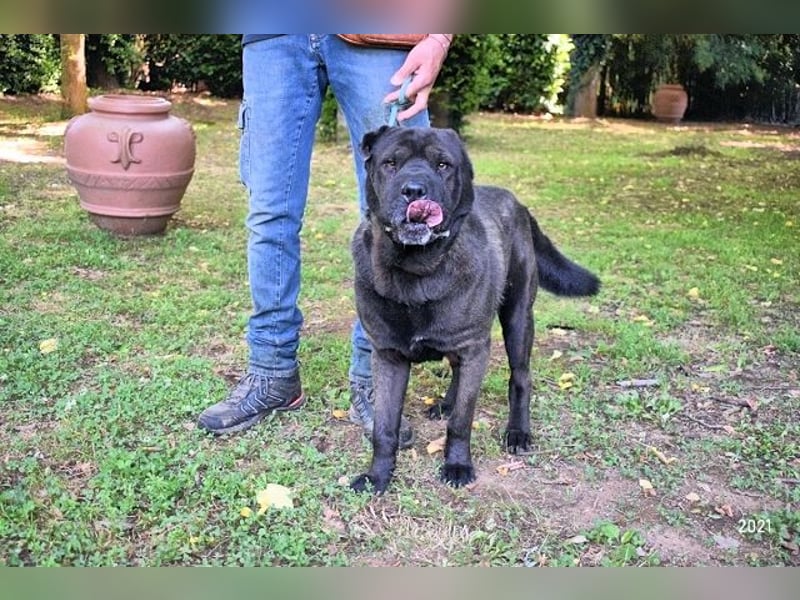 Morgan - wird hoffentlich alles besser