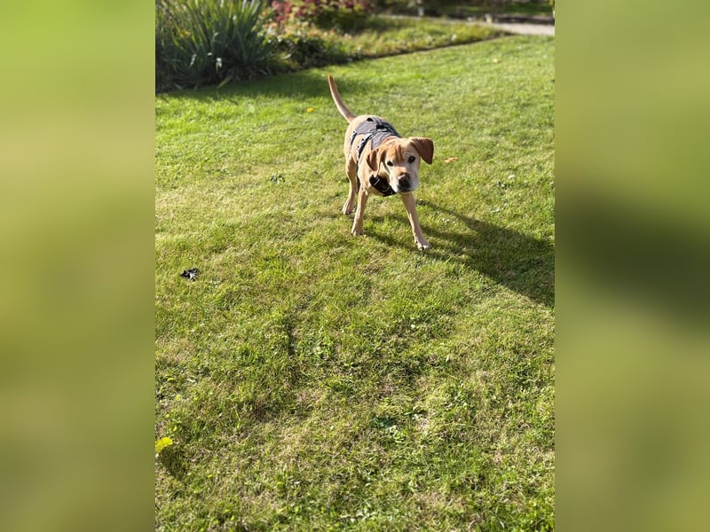 Lilly ❤️Ältere Herzensdame wartet in 23970