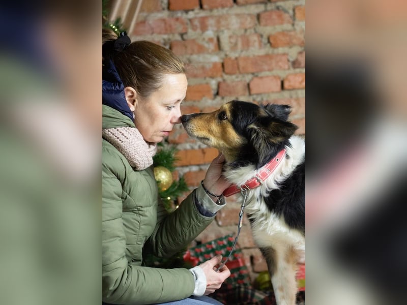 ORFEY Sucht Anschluss (Ukraine)