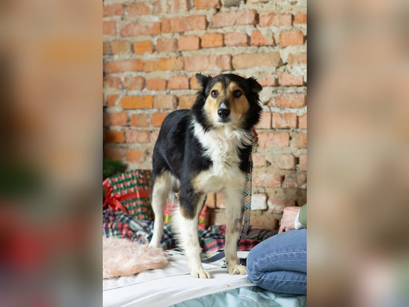 ORFEY Sucht Anschluss (Ukraine)