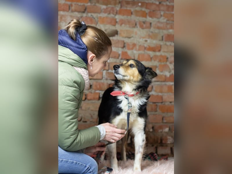 ORFEY Sucht Anschluss (Ukraine)